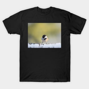 Chickadee in winter T-Shirt